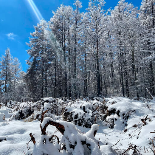 雪山